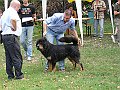 img 135